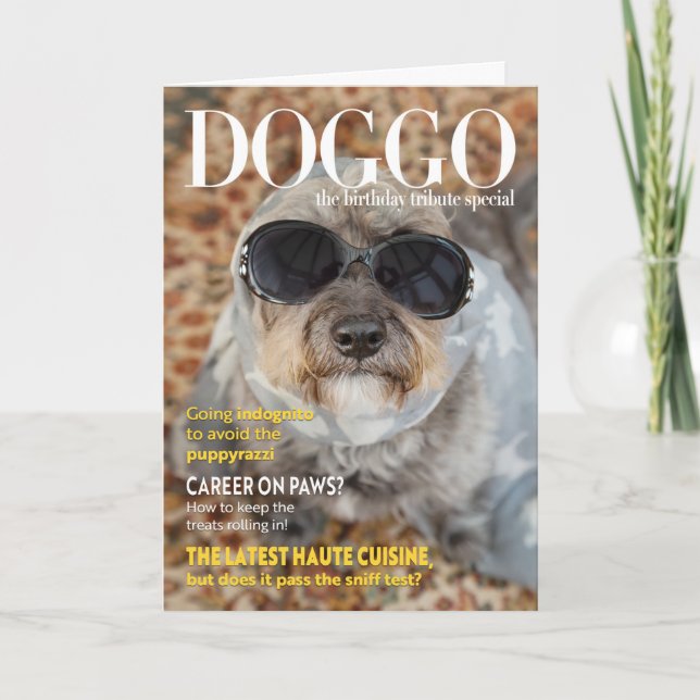 Funny Dog Magazine Style Birthday Card (Front)
