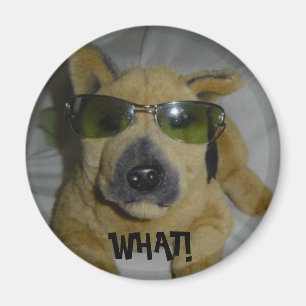 Funny Dog Magnet