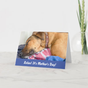 Funny Dog Mother's Day Card