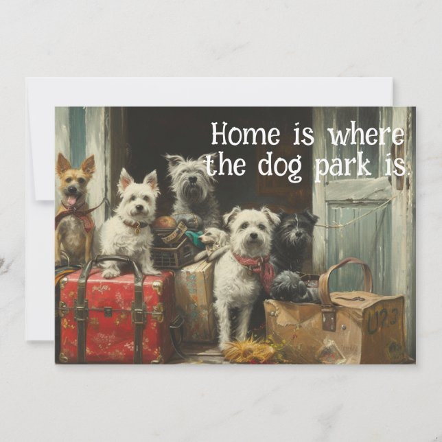 Funny Dog Moving New Address Announcement (Front)