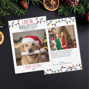 Funny Dog Naughty List Custom Christmas Photo Holiday Card