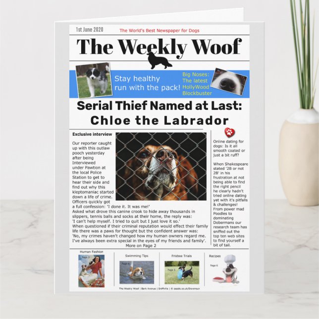 Funny Dog Newspaper Card (Front)