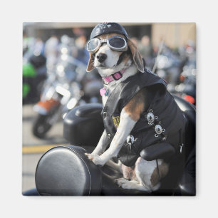 Funny dog on motorcycle photo magnet