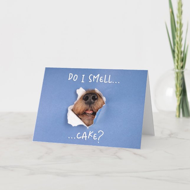 Funny Dog Peeking Through Card - Dog Birthday Card (Front)