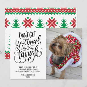 Funny Dog Pet Photo Christmas Holiday Card