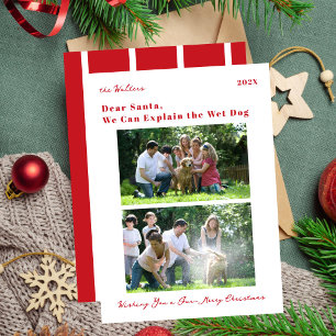 Funny Dog Pet Photo Red Stripes Family Christmas Holiday Card