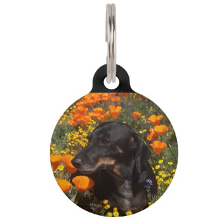 Funny Dog Pet Tag