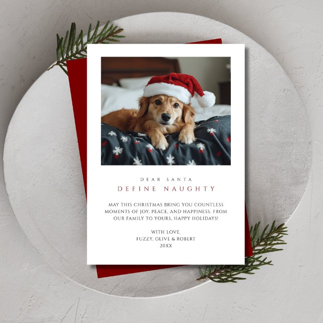 Funny Dog Photo Christmas Define Naughty Red Pet Holiday Card (Creator Uploaded)