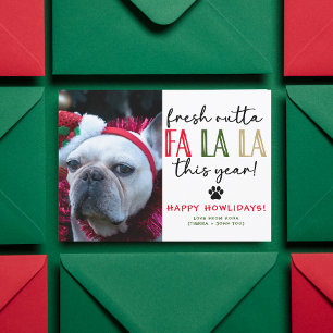 Funny Dog Photo Christmas Picture Custom Humourous Holiday Card
