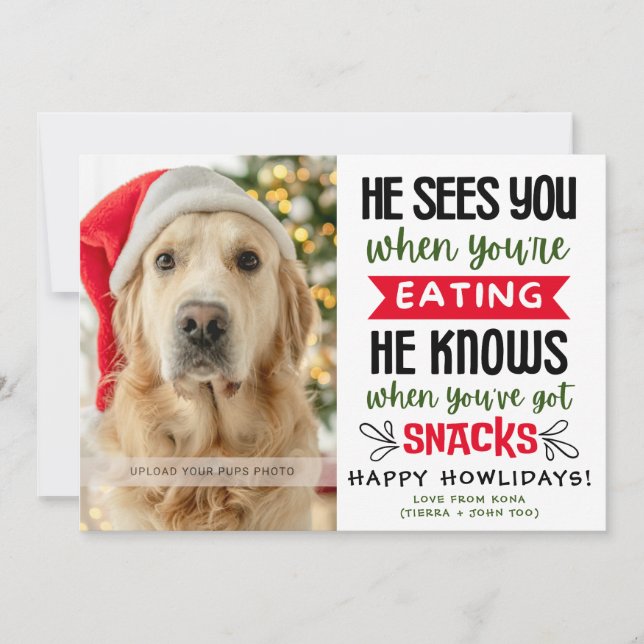Funny Dog Photo Christmas Picture Personalized Holiday Card (Front)