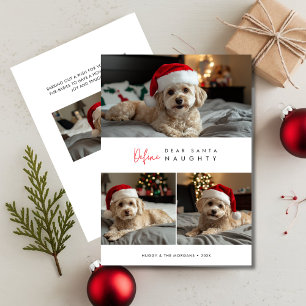 Funny Dog Photo Define Naughty Christmas Greetings Holiday Card