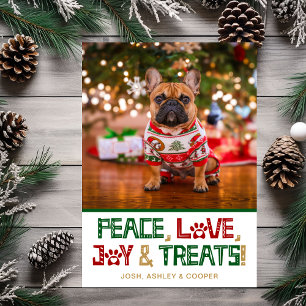 Funny Dog Photo Holiday Card