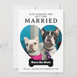 Funny Dog Photo Our Humans Are Getting Married Save The Date