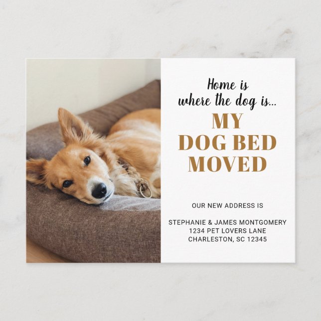 Funny Dog Photo Personalised Pet Moving Announcement Postcard (Front)