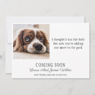 Funny Dog Photo Pregnancy Announcement