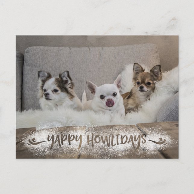Funny Dog Photo Snowy YAPPY HOWLIDAYS Holiday Postcard (Front)