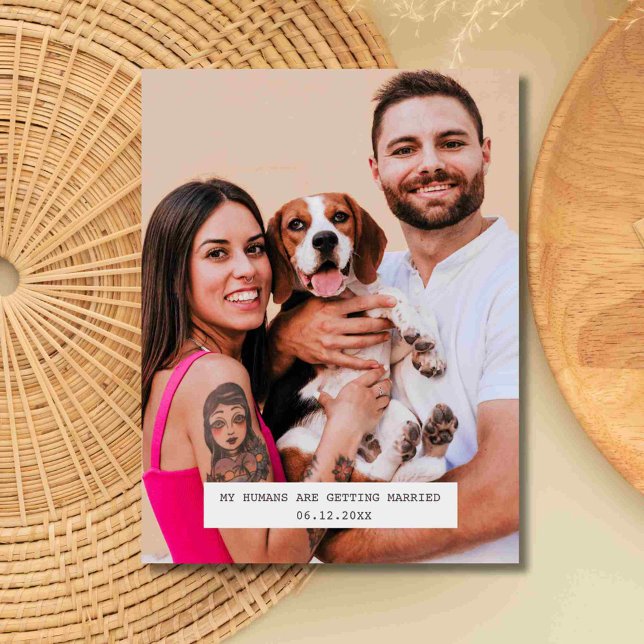 Funny Dog Photo Wedding Save the Date Announcement Postcard (Funny Dog Photo Wedding Save the Date )