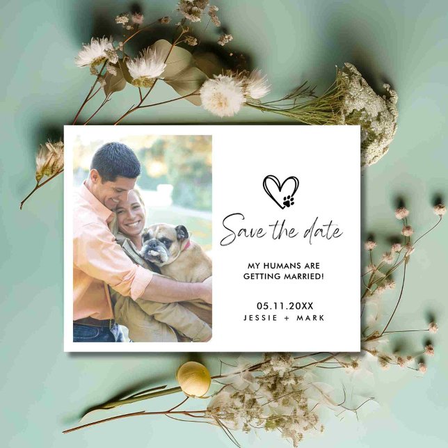 Funny Dog Photo Wedding Save the Date Announcement Postcard (Funny Dog Photo Wedding Save the Date)