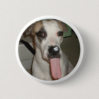 FUNNY DOG PIN