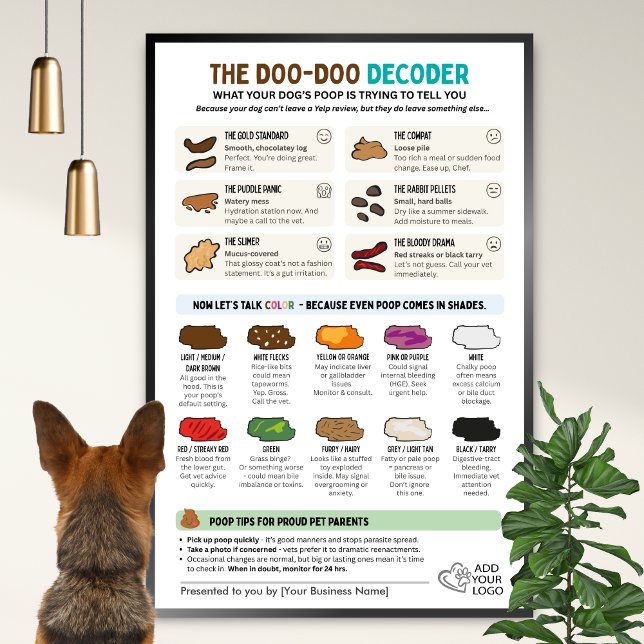 Funny Dog Poop Wall Chart for Pet Professionals (Creator Uploaded)