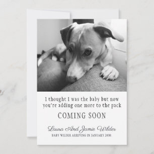 Funny Dog Pregnancy Announcement