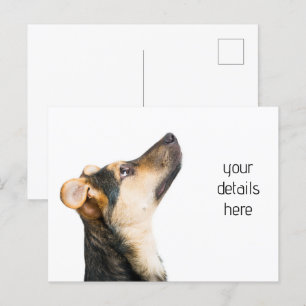 Funny dog puppy postcard