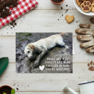 Funny Dog Puppy Valentine's Day Meme