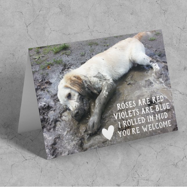 Funny Dog Puppy Valentine's Day Meme (Creator Uploaded)