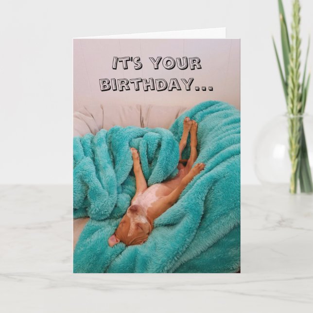 Funny Dog Relaxing Birthday Card (Front)