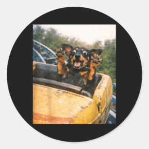 Funny Dog Roller Coaster Meme Silly Graphic Classic Round Sticker