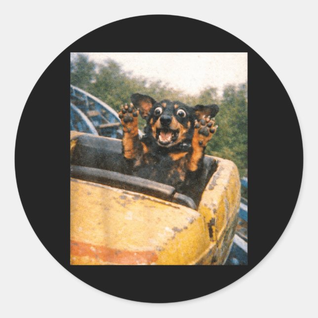 Funny Dog Roller Coaster Meme Silly Graphic Classic Round Sticker (Front)