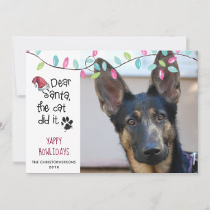 Funny Dog Saying Pastel Lights Photo Holiday Card