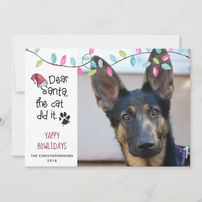 Funny Dog Saying | Pastel Lights | Photo Holiday Card (Front)
