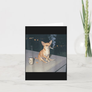 Funny dog smoking chihuahua meme cigarette beer card