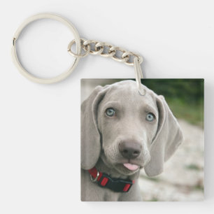 Funny Dog Sticking Tongue Out Photo Key Ring