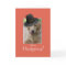Funny Dog Thanksgiving, Humourous Wearing Pilgrim 