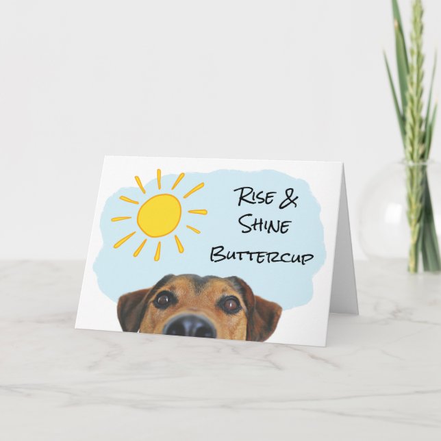 Funny Dog Theme Add a Name Happy Birthday Card (Front)