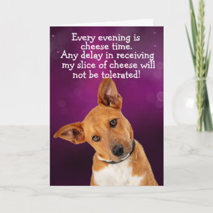 Funny dog thought card