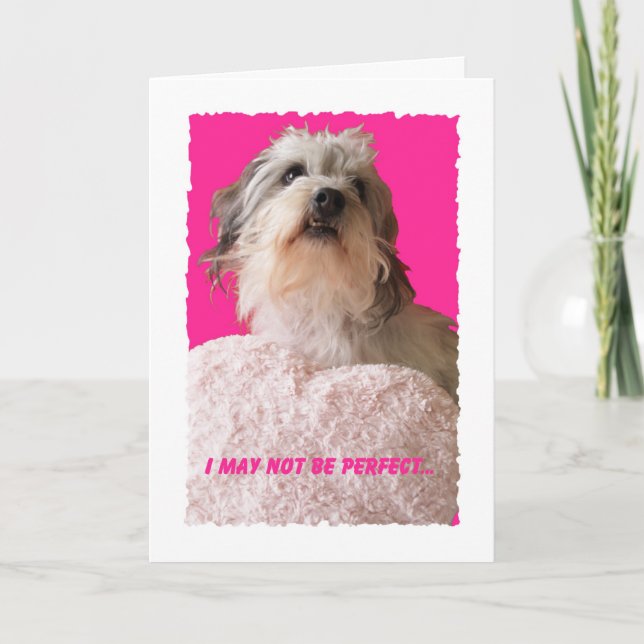 Funny Dog Valentine -- All Yours Valentine Holiday Card (Front)