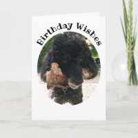 Funny Dog with a Bone Birthday Card