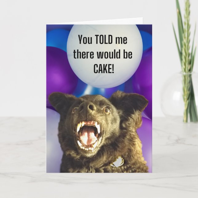 Funny Dog You Told Me There Would be Cake Birthday Card (Front)