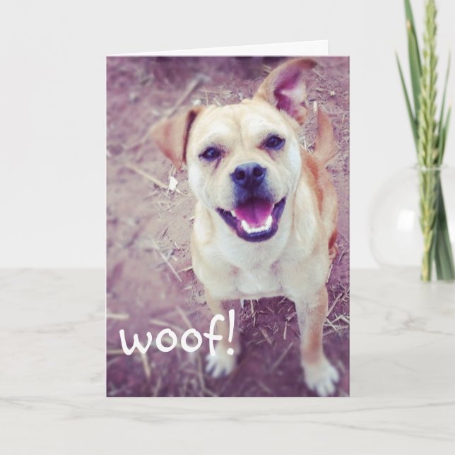 Funny Doggie Father's Day Greeting Card (Front)