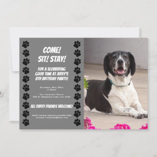 Funny Doggy Birthday Party Invitation