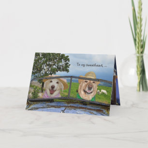 Funny Dogs Anniversary Holiday Card
