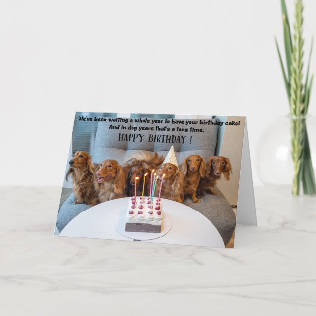 Funny Dogs Birthday Greeting Card  (Front)