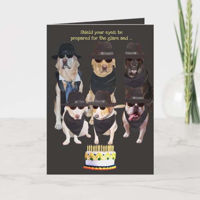 Funny Dogs Fire Hazard Birthday Card (Front)