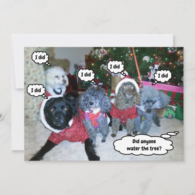 Funny Dogs Help Water The Christmas Tree Holiday Card (Front)