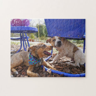 Funny dogs jigsaw puzzle
