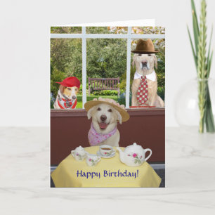 Funny Dogs/Labs Female Birthday Card