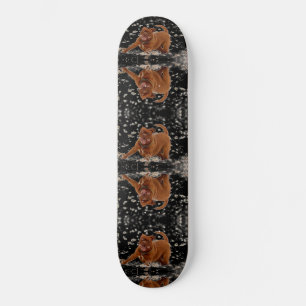 Funny Dogs Skateboard